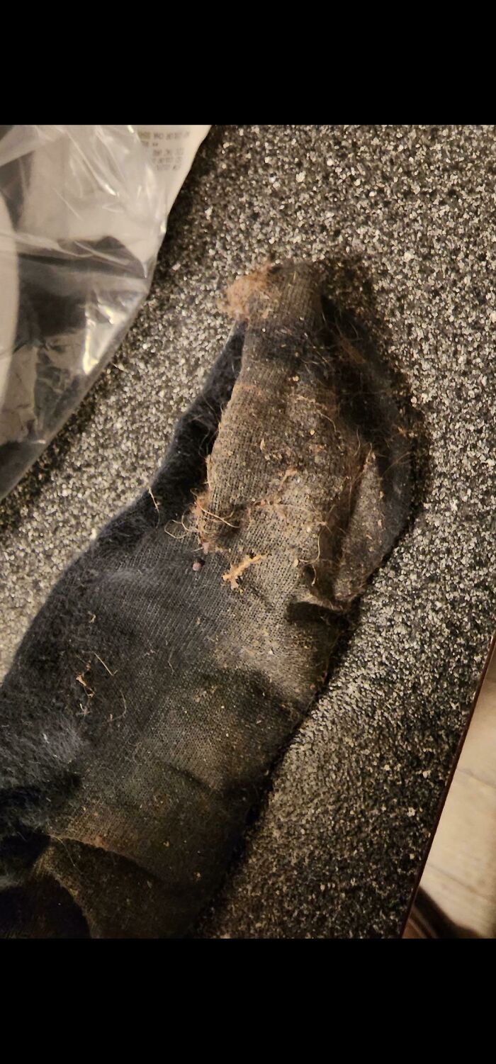 Booked An Airbnb For The Family Because One Of Us Has An Open Heart Surgery Near That Town. Reviews For Cleanliness Were Outstanding. 5 Minutes Into Our Stay This Is What Our Socks Turned Into Just Walking Around. Host Refuses To Cancel/Refund