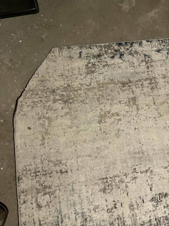 Guests At My Airbnb Destroyed The Rug