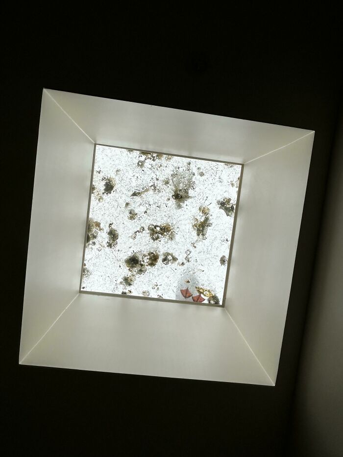 The Skylights In This Airbnb (And The Culprit)