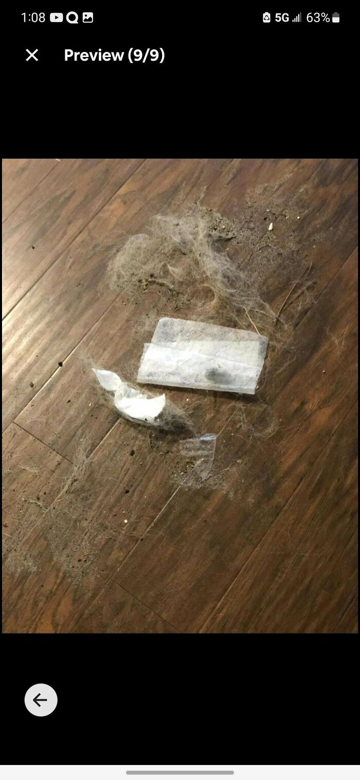 Airbnb Host Charging Additional Cleaning Fees?