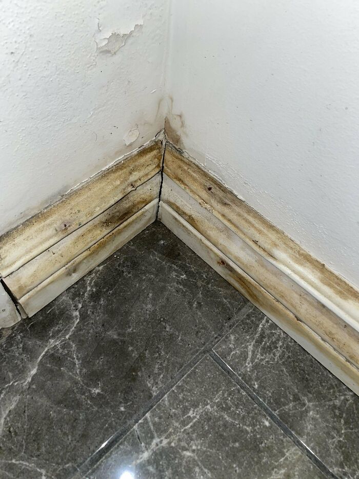 Disgusting Airbnb In Quebec City