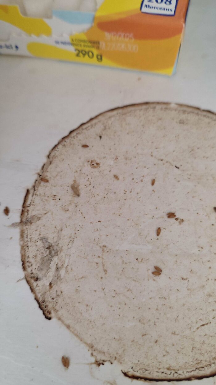 I Moved The Coffee Maker At An Airbnb And Found This