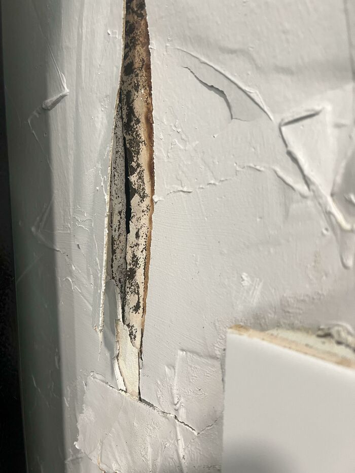 Found Black Mold In My Airbnb And Didn’t Even Get A Full Refund. They Said According To Policy That The Host Had To Approve And They Didn’t…