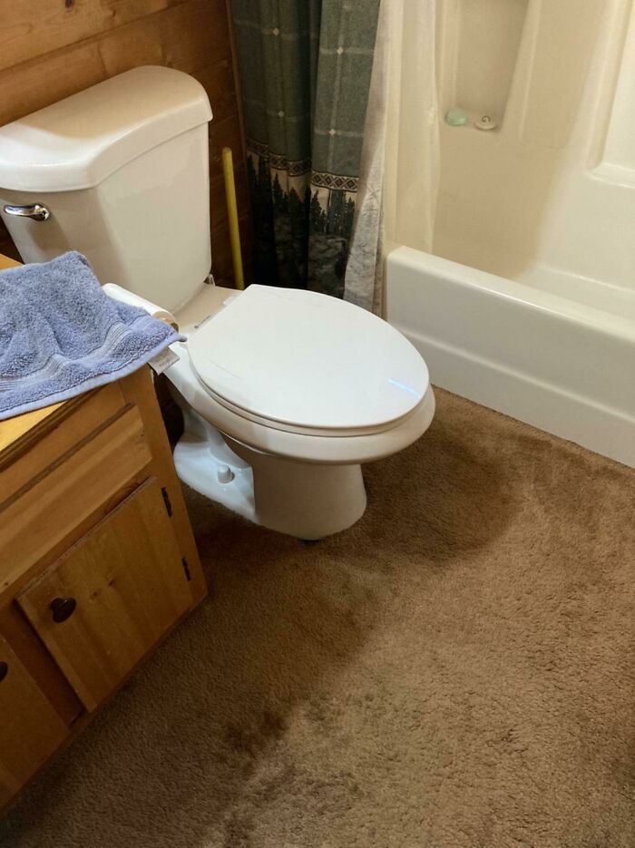 So I Visited My Cousin At His Airbnb Cabin Yesterday, And I Found This