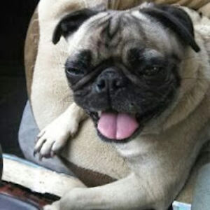 micahmcdermott avatar