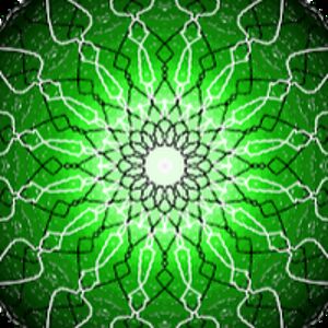 patrickvandenhouten avatar