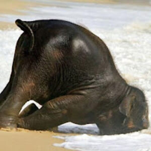 thegrandaddy86 avatar