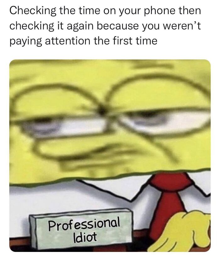 Blurred meme image of a cartoon character with a nameplate reading “Professional Idiot,” capturing relatable humor.