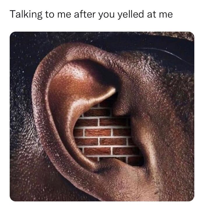 Close-up of an ear with a brick wall inside, illustrating a relatable meme about ignoring after being yelled at.