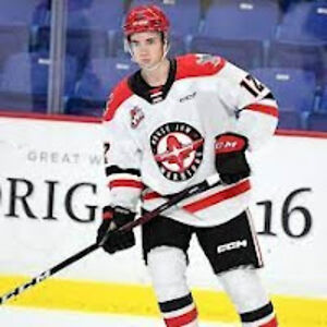 bodhikotschorek avatar