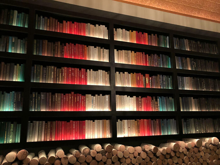 The Way These Books Are Organized