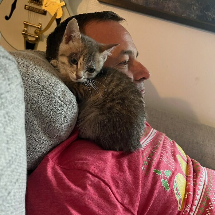 Acabamos de adoptar a un rescatado. Te presentamos a Popcorn