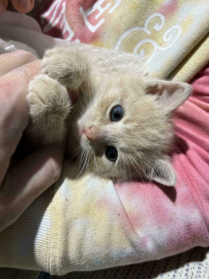 Nuestro último rescate