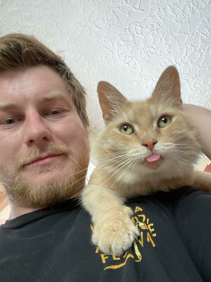 Mis vecinos fueron desahuciados y abandonaron a su gato. Decidí Adoptarlo. Os presento a Mimi