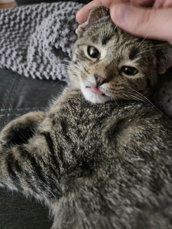 Mi nuevo pequeñín, Simon