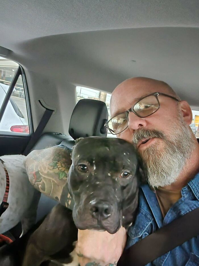 Adopté a un dulce perro usado como cebo