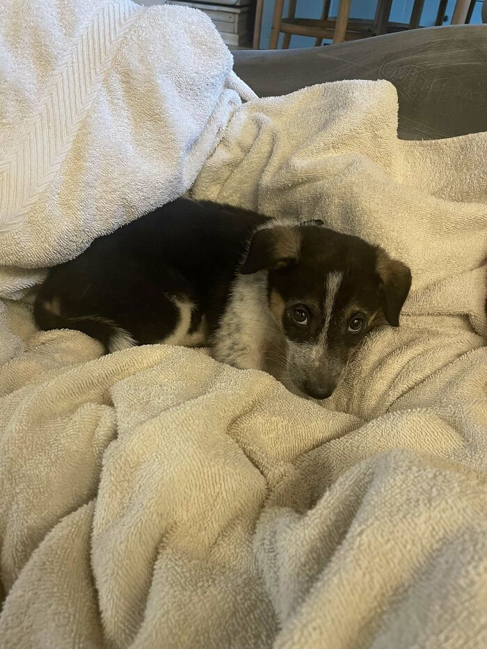 ¿Qué nombre debería tener?