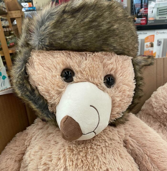 The Teddy Bear With The Muzzle Rotated 90 Degrees