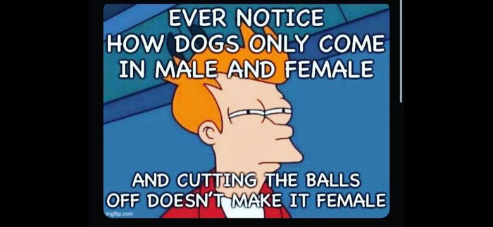 Posted By A Family Member. Really Awful Take On Transgenders