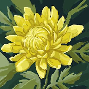 sophiesteadman avatar