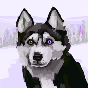 evelynmcglone avatar