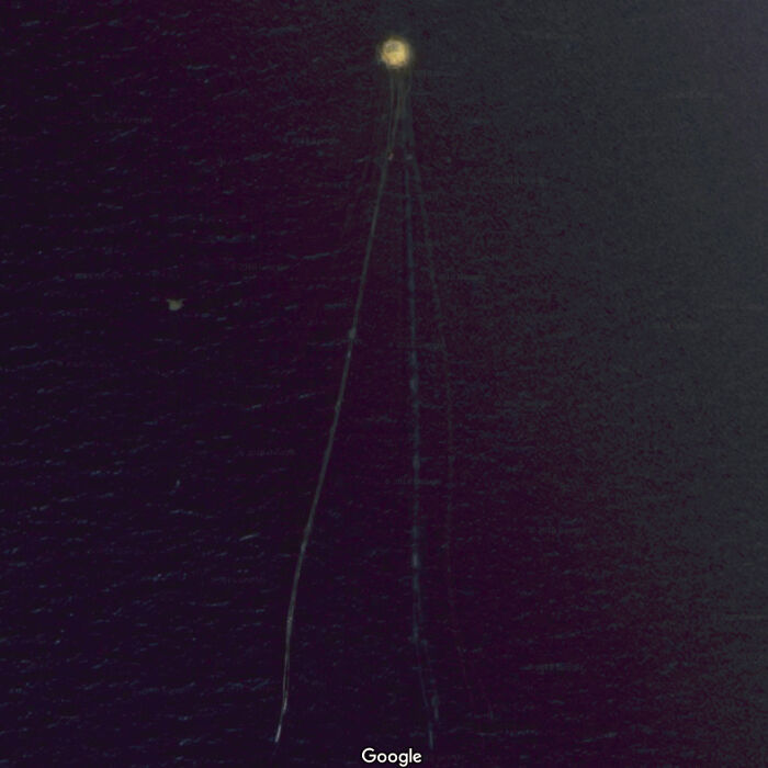 Worlds Largest Jellyfish? What Can It Be? 