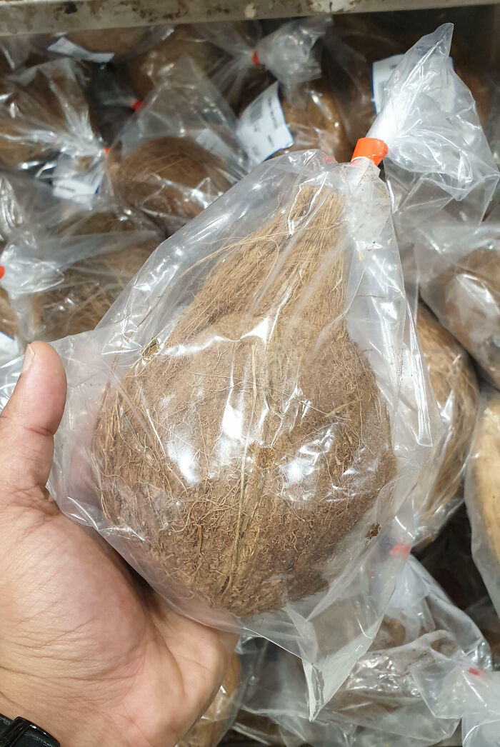 Hand holding a coconut packaged in plastic bag, illustrating a facepalm-worthy packaging fail with unnecessary wrapping.