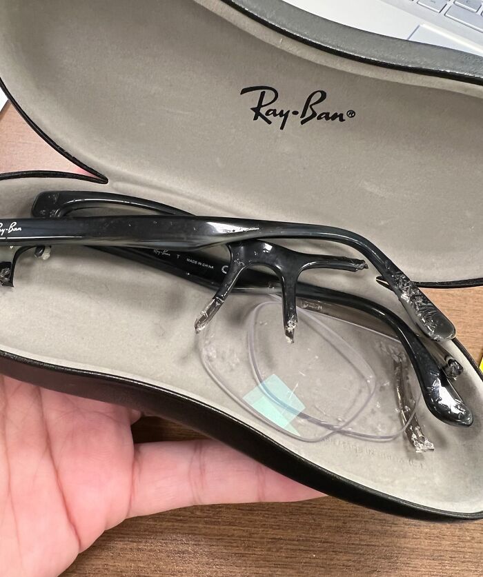 Patient At Our Eye Clinic Just Got A New Dog