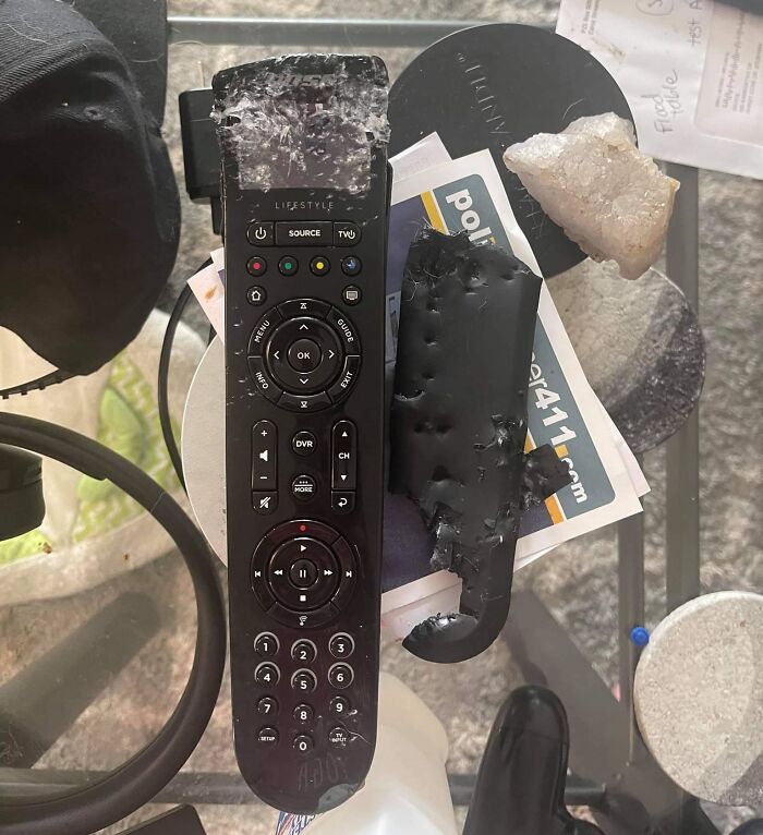 Dog Decided My Expensive Remote Was A Chew Toy