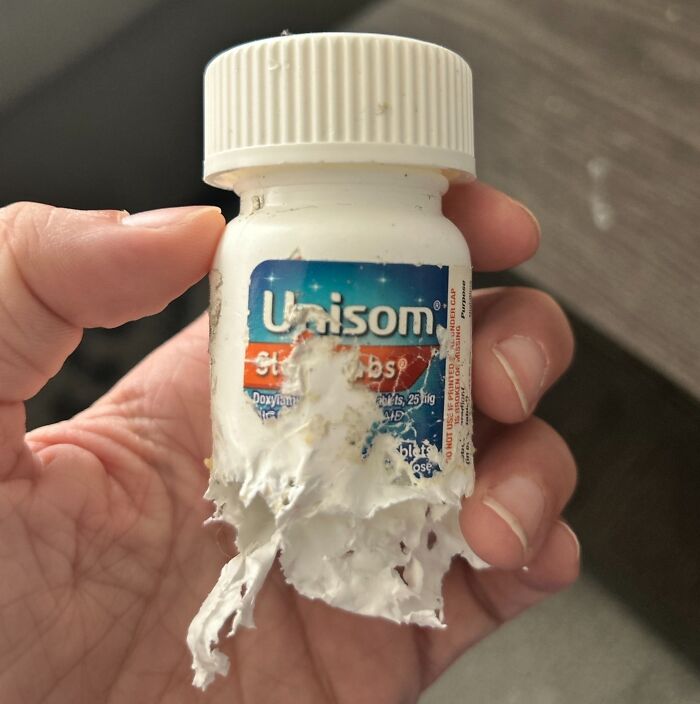 My Dog Snuck Off For A Few Minutes, Then Brought Me This