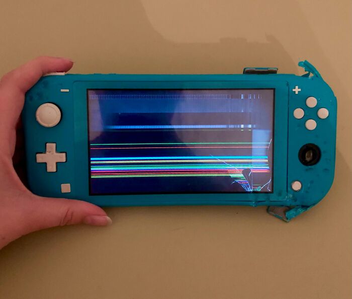 My Puppy Destroyed My Switch