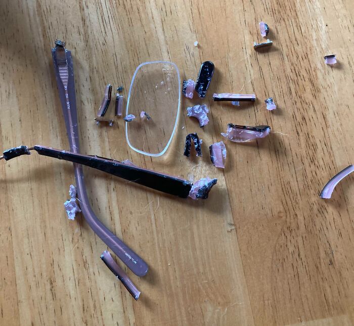 My New Puppy Has A Taste For Eyeglasses