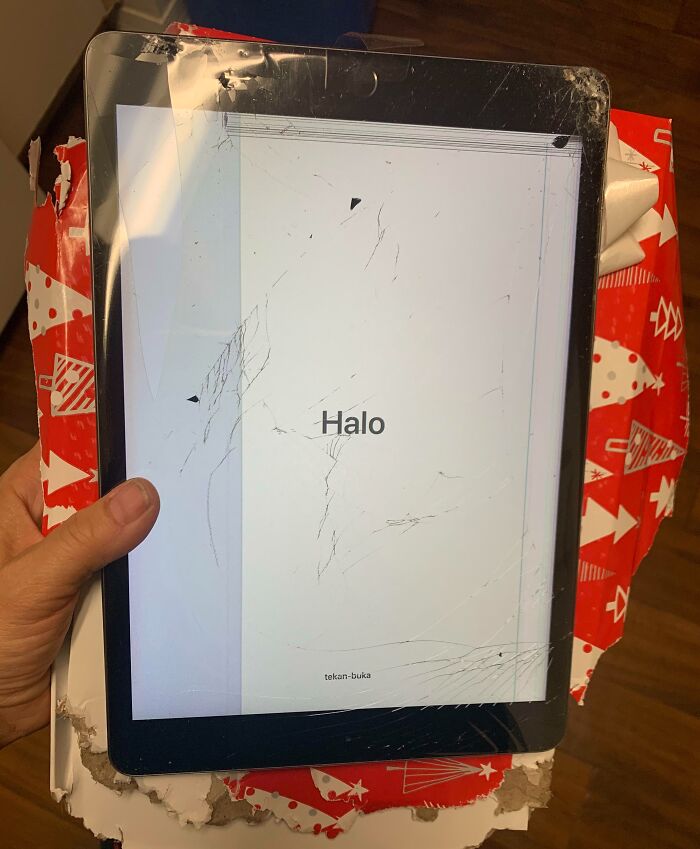 When Your Puppy Chews Your Son’s Big Gift On Christmas Eve