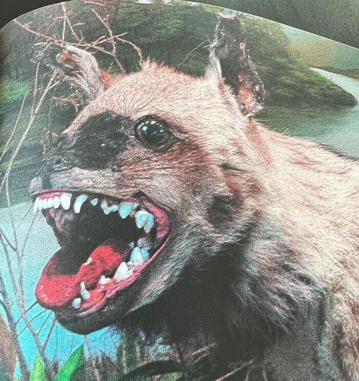 Unconventional present: a bizarre creature statue with sharp teeth in a forest backdrop.