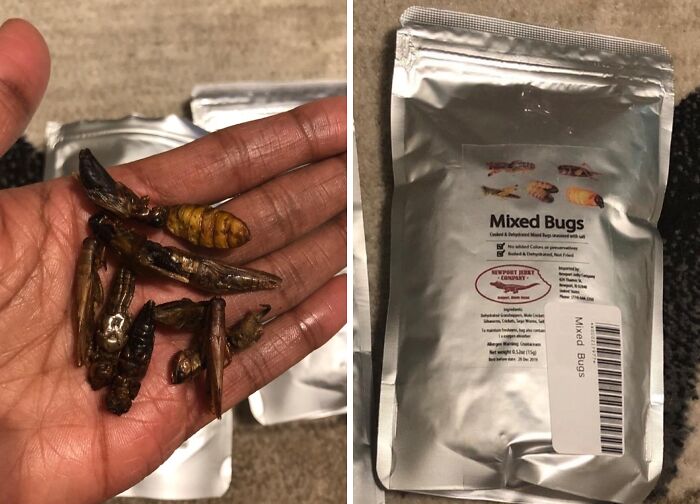 Hand holding edible mixed bugs, showcasing an unconventional present option.