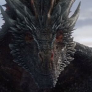 elliotblumenau avatar