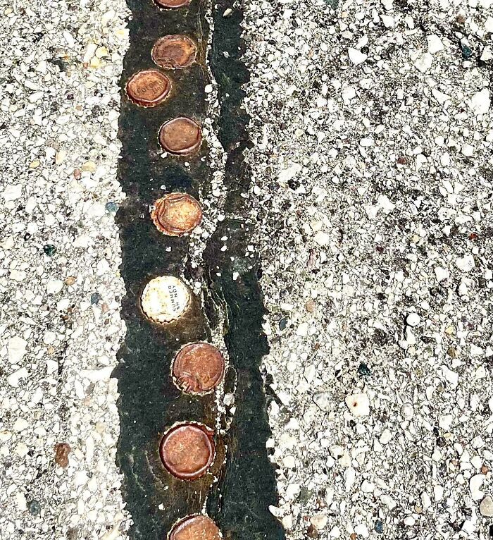 Old Bottle Caps From Tailgates Past At Miller Park