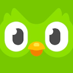 duolingo avatar