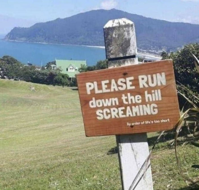 Por favor, corre colina abajo chillando (la vida es demasiado corta)