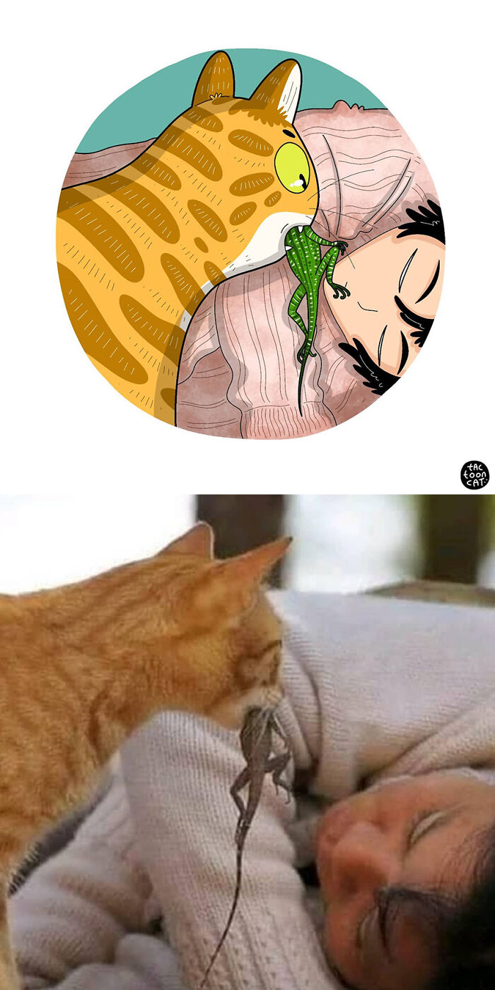 68 Of The Funniest Internet-Famous Cat Pics Get Illustrated By Tactooncat (New Pics)