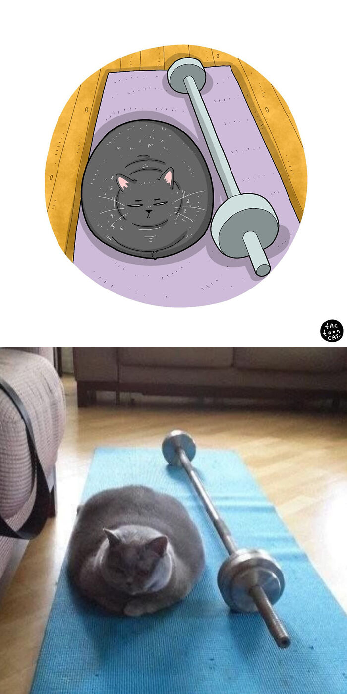 68 Of The Funniest Internet-Famous Cat Pics Get Illustrated By Tactooncat (New Pics)