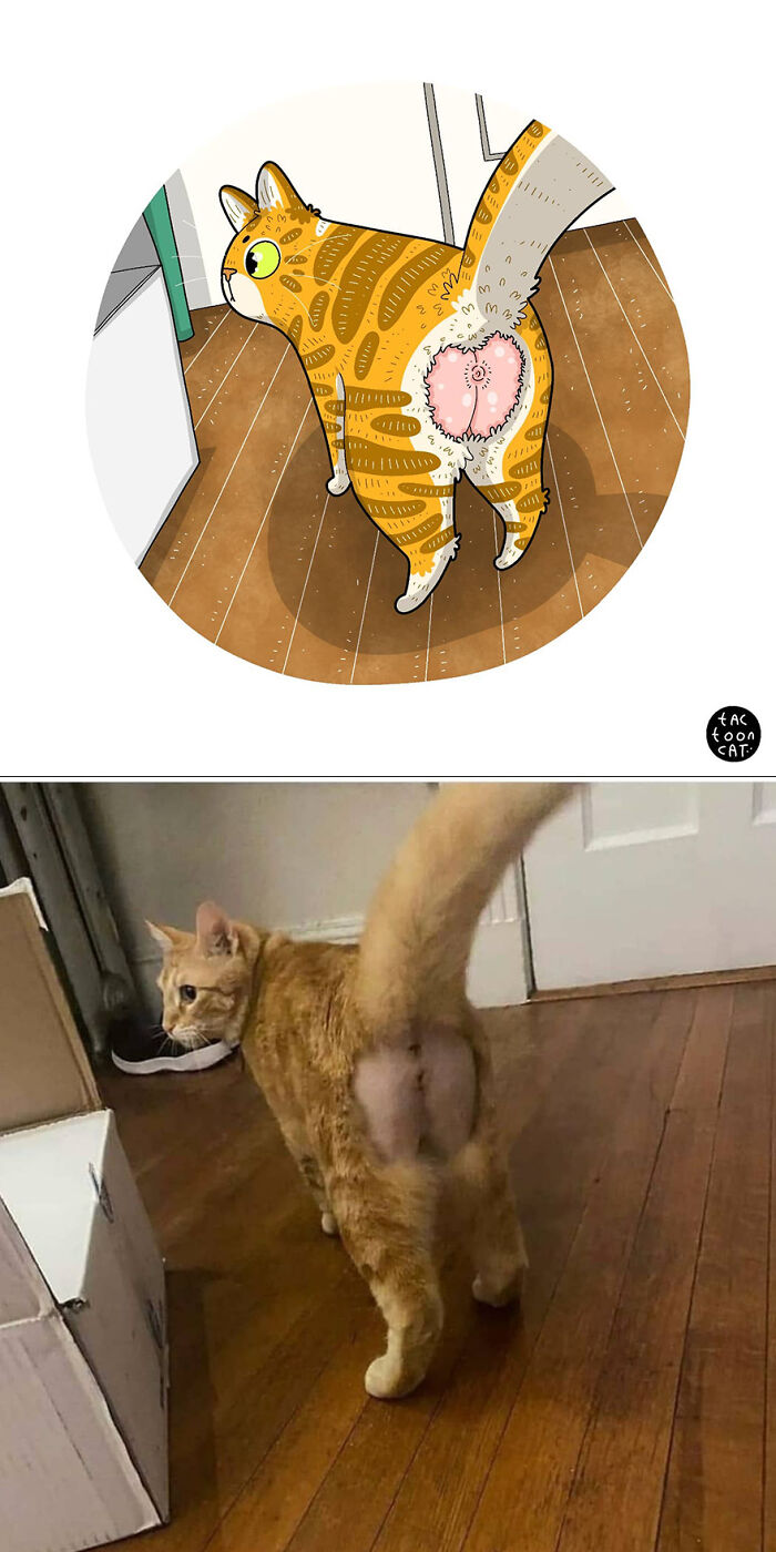 68 Of The Funniest Internet-Famous Cat Pics Get Illustrated By Tactooncat (New Pics)