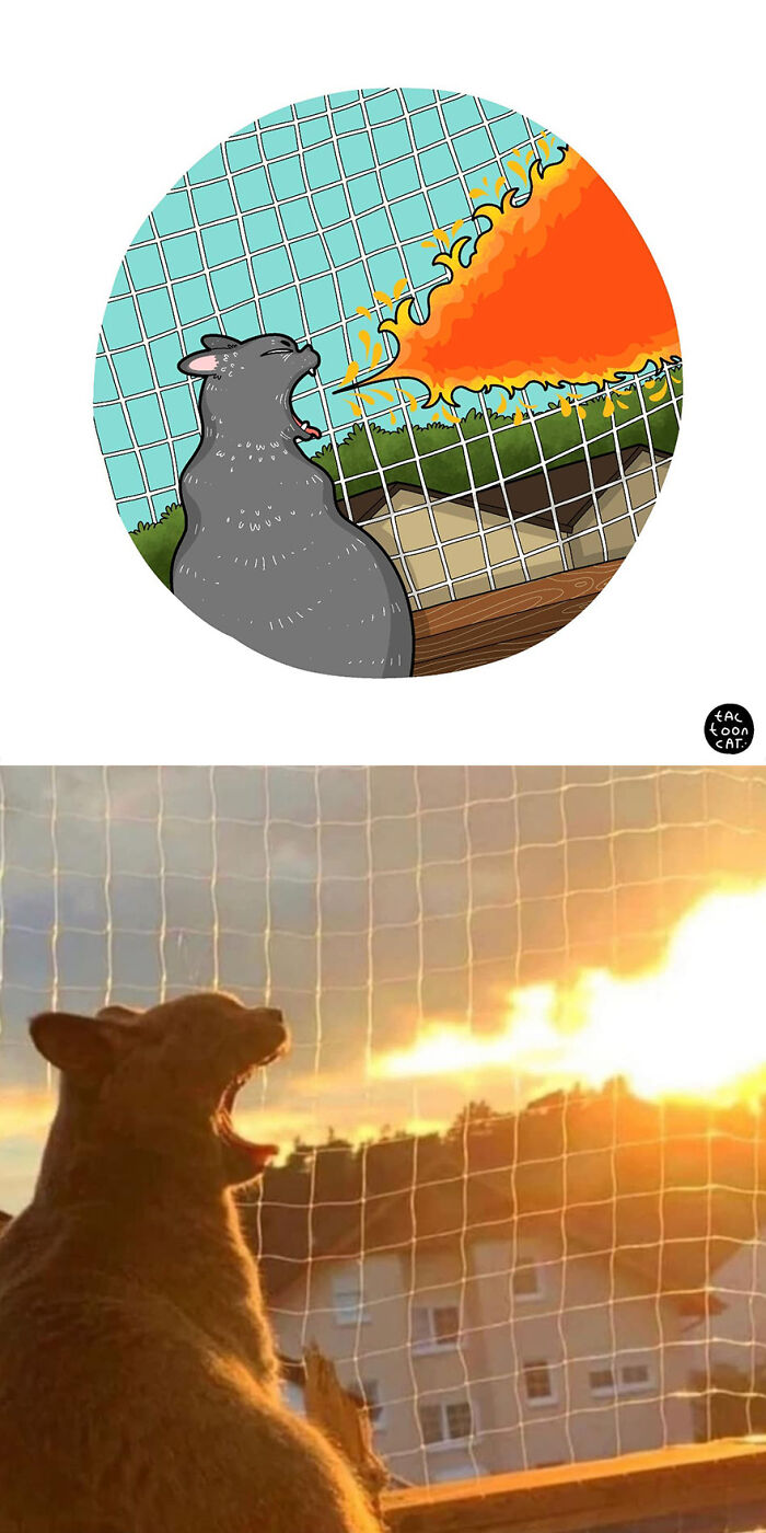 68 Of The Funniest Internet-Famous Cat Pics Get Illustrated By Tactooncat (New Pics)