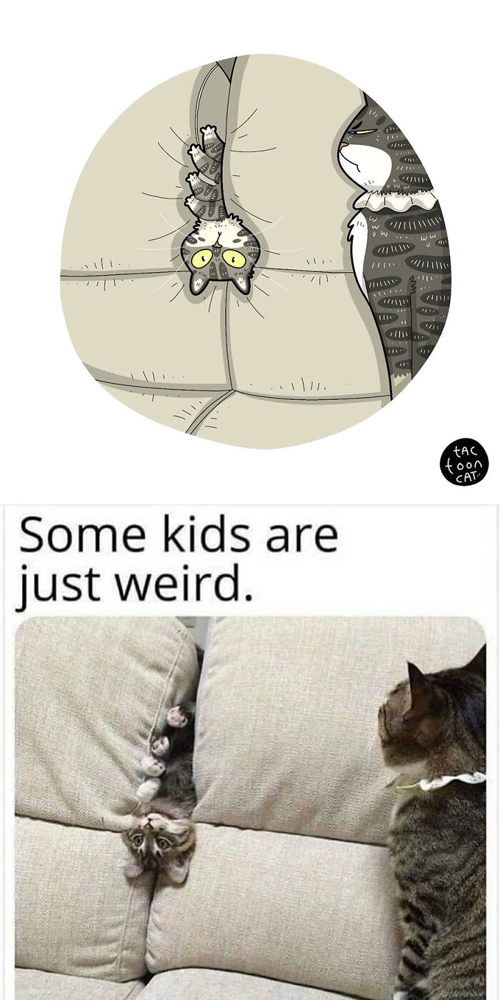 68 Of The Funniest Internet-Famous Cat Pics Get Illustrated By Tactooncat (New Pics)