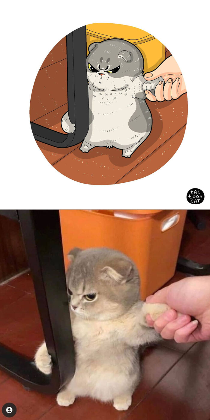 68 Of The Funniest Internet-Famous Cat Pics Get Illustrated By Tactooncat (New Pics)