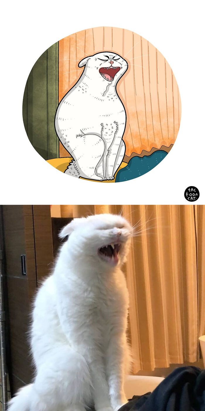 68 Of The Funniest Internet-Famous Cat Pics Get Illustrated By Tactooncat (New Pics)