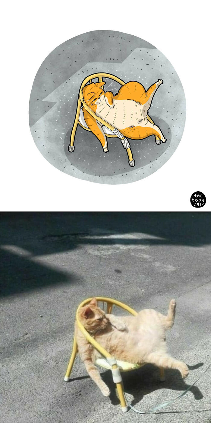 68 Of The Funniest Internet-Famous Cat Pics Get Illustrated By Tactooncat (New Pics)