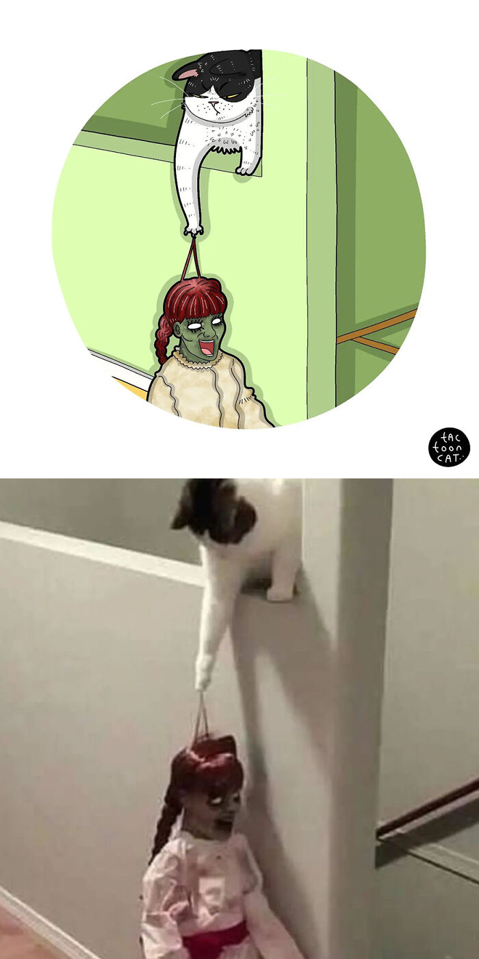 68 Of The Funniest Internet-Famous Cat Pics Get Illustrated By Tactooncat (New Pics)