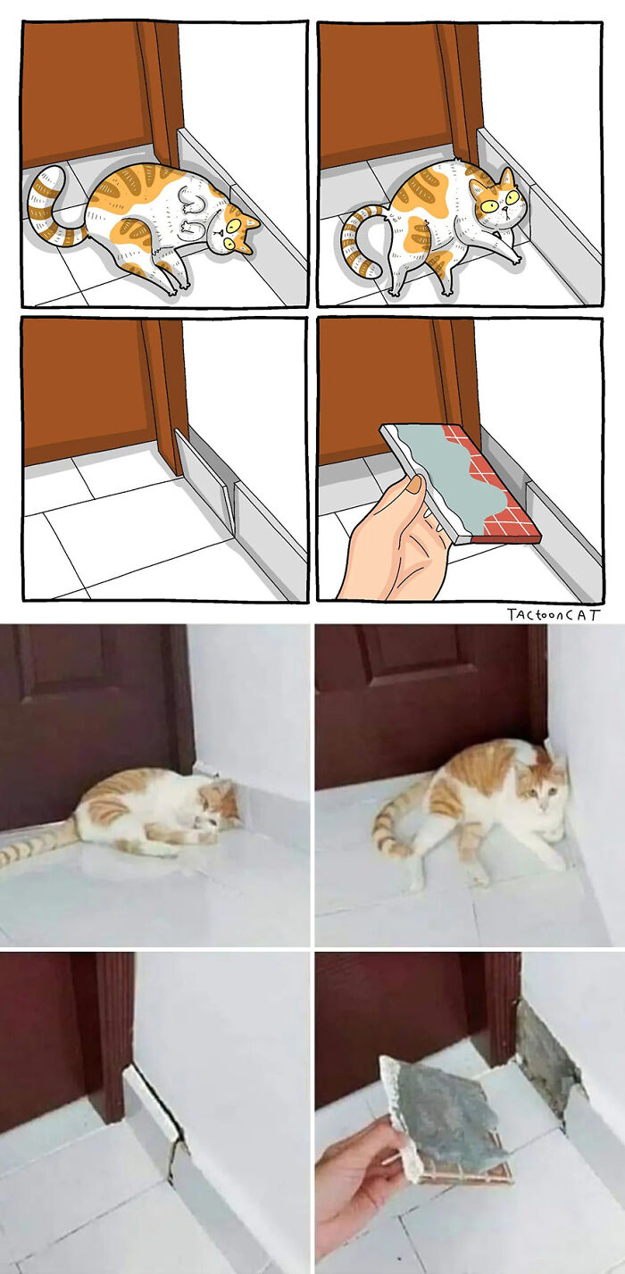 68 Of The Funniest Internet-Famous Cat Pics Get Illustrated By Tactooncat (New Pics)