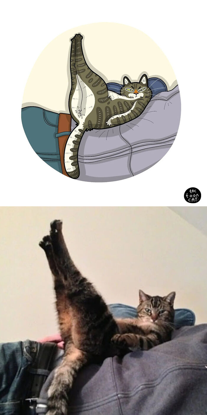 68 Of The Funniest Internet-Famous Cat Pics Get Illustrated By Tactooncat (New Pics)